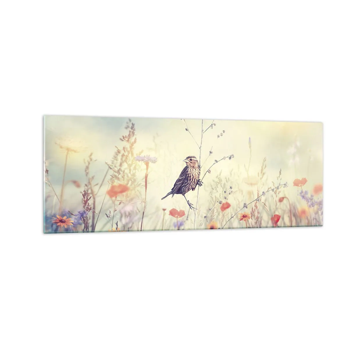 Tablou pe sticlă - Portret de pasăre cu o pajiște în fundal - 140x50 cm