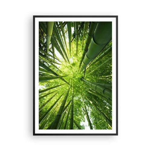 Poster în ramă neagră - Într-o pădure de bambus - 70x100 cm
