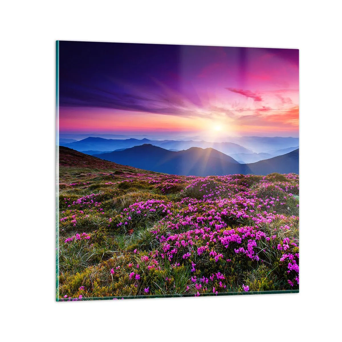 Tablou pe sticlă - Ierburile proaspete miroseau puternic - 70x70 cm