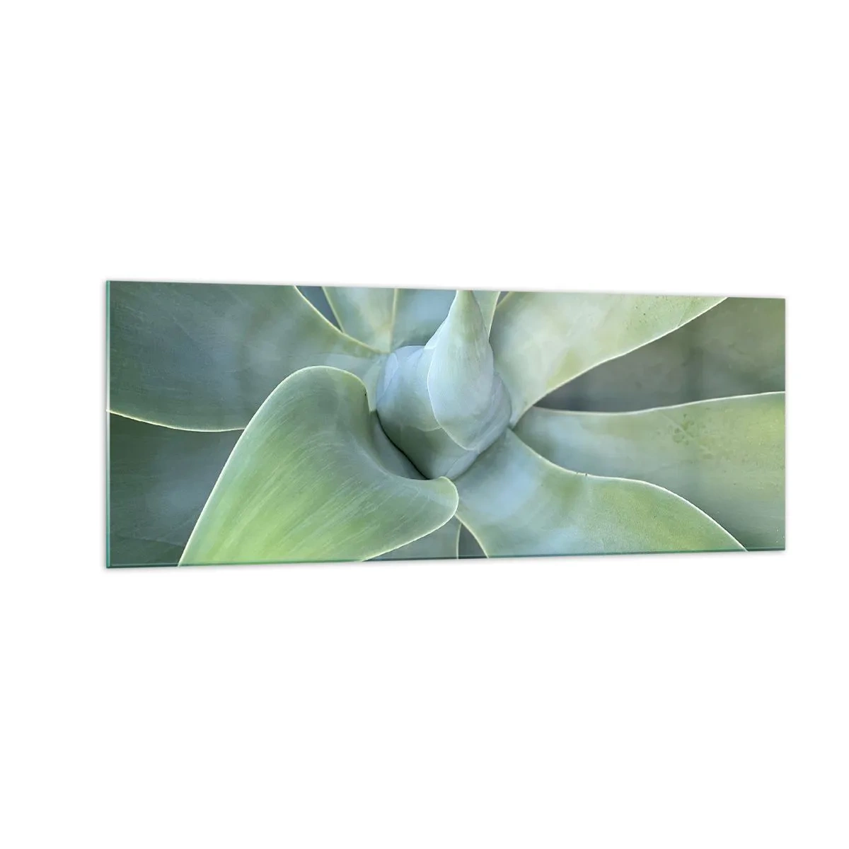 Tablou pe sticlă - Nașterea verdeții - 140x50 cm