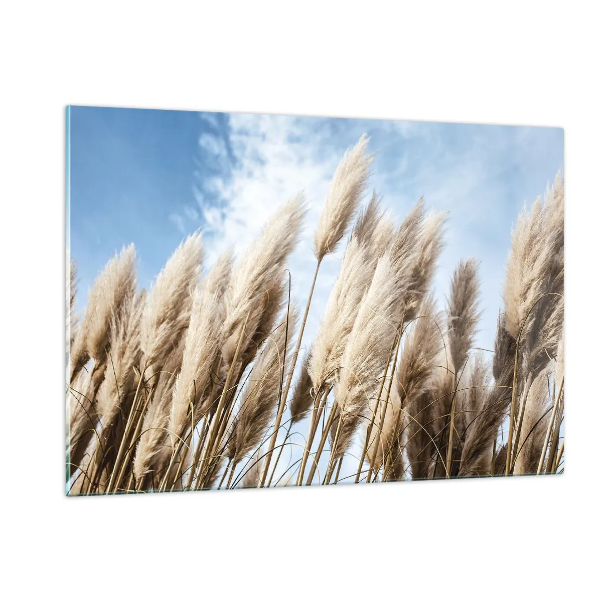 Tablou pe sticlă - Mângâiere însorită și vântoasă - 120x80 cm