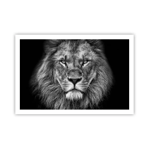 Poster - În ținuta de încoronare - 91x61 cm