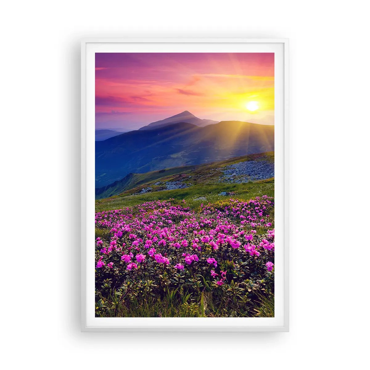 Poster în ramă albă - ... Și peste tot în jur se simte un miros de jneapăn și parfum de ierburi... - 70x100 cm