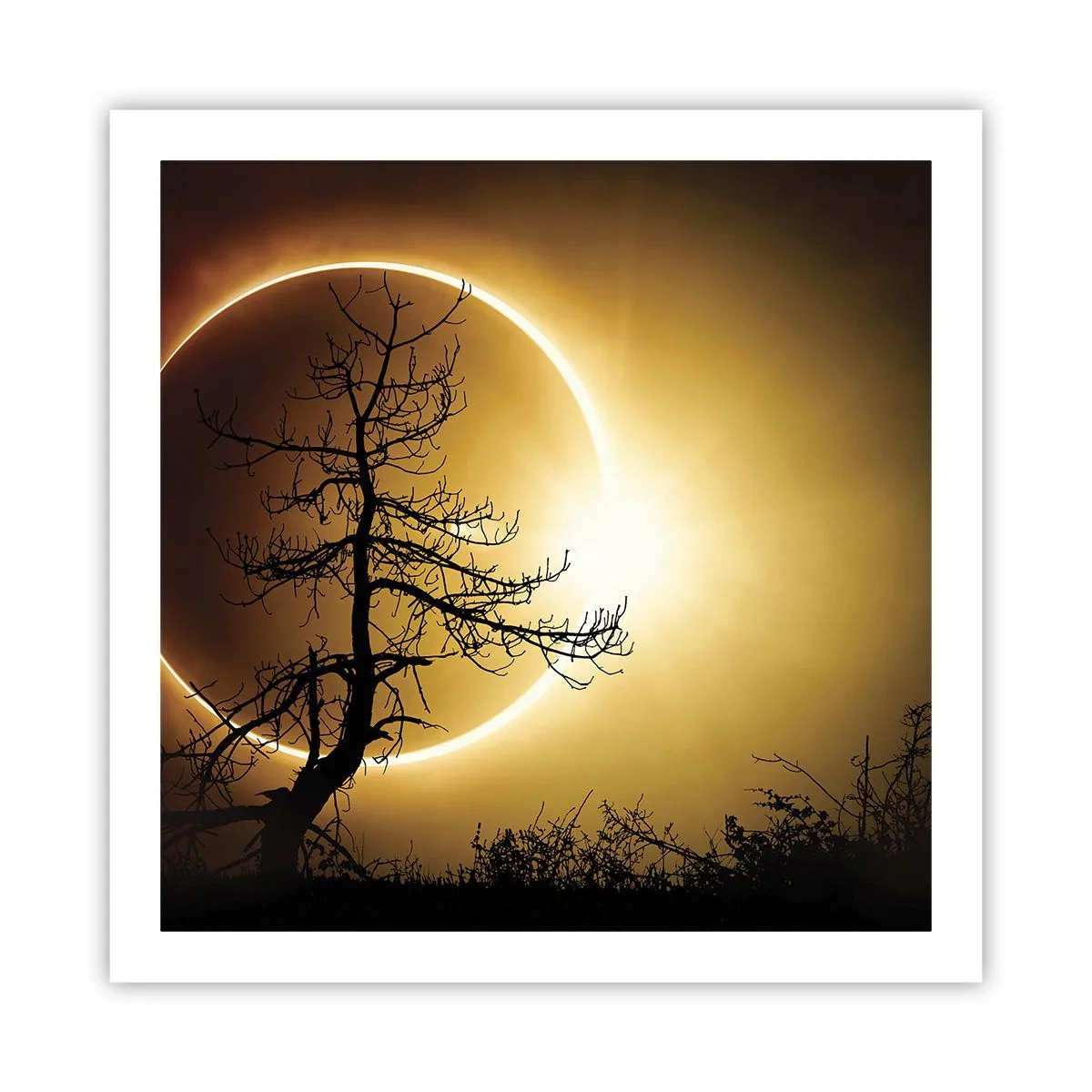 Poster - Eclipsă totală - 60x60 cm