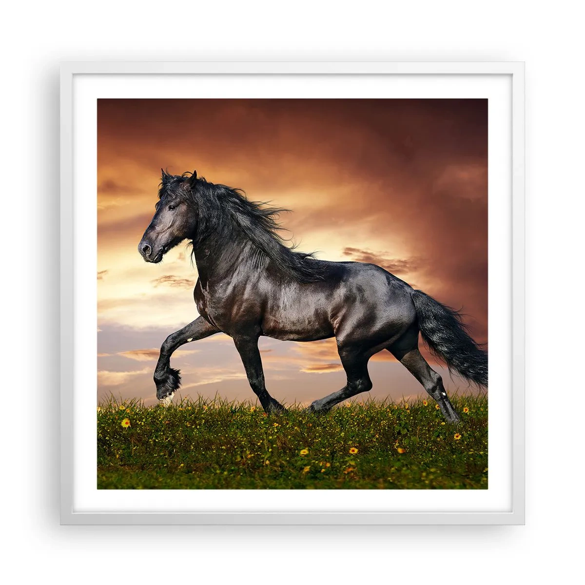 Poster în ramă albă - Prințul negru - 60x60 cm