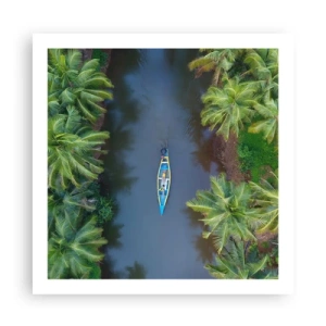 Poster - Pe traseul tropical - 60x60 cm