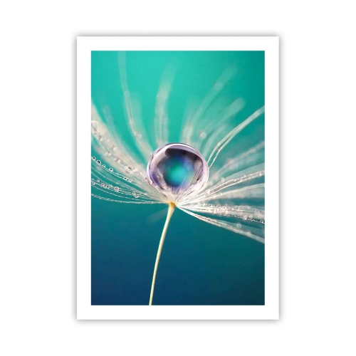 Poster - Moment mistic - 50x70 cm