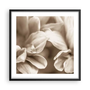 Poster în ramă neagră - Blânde ca un zâmbet - 50x50 cm