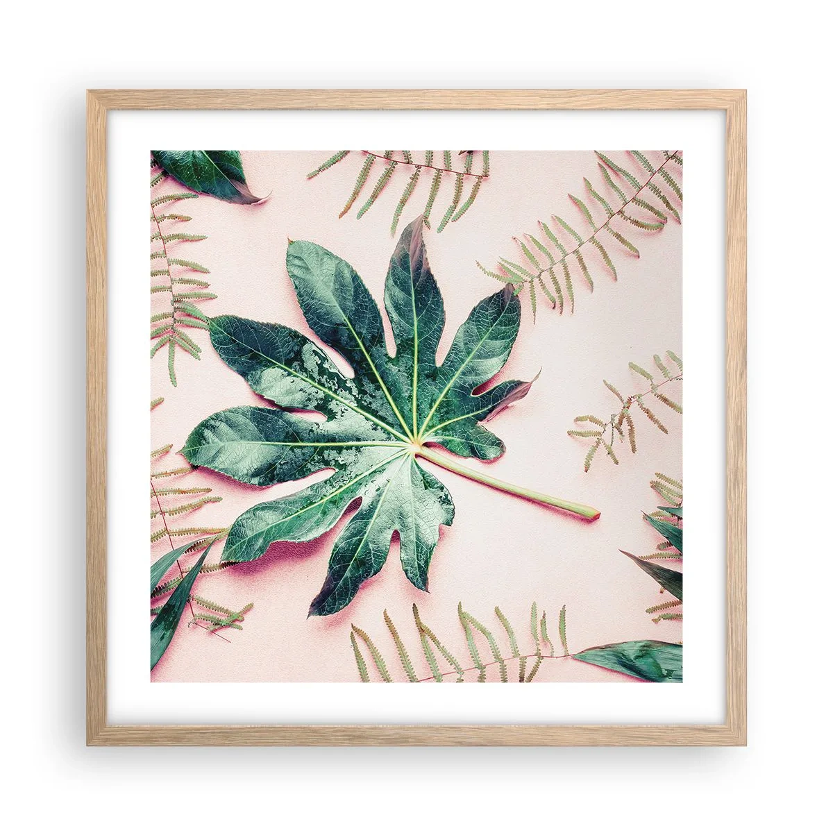 Poster în ramă de stejar deschis - Studiu de verdeață pe un fundal roz - 50x50 cm