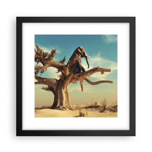 Poster în ramă neagră - Un nou punct de vedere - 30x30 cm