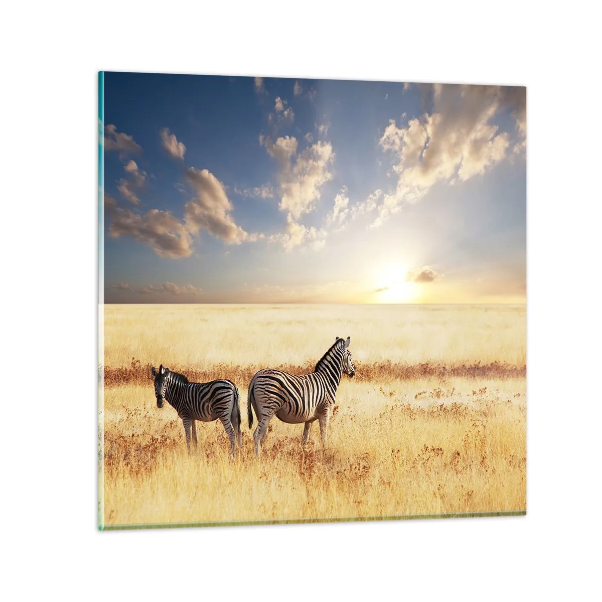 Tablou pe sticlă - Plecați, nu tulburați liniștea - 70x70 cm