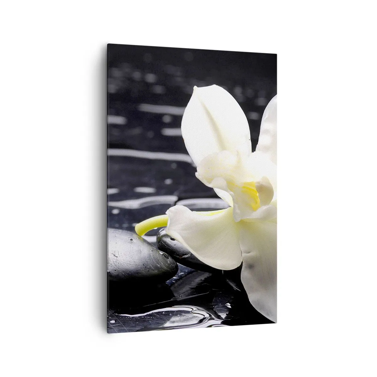 Tablou pe pânză - Studiu în alb și negru - 80x120 cm