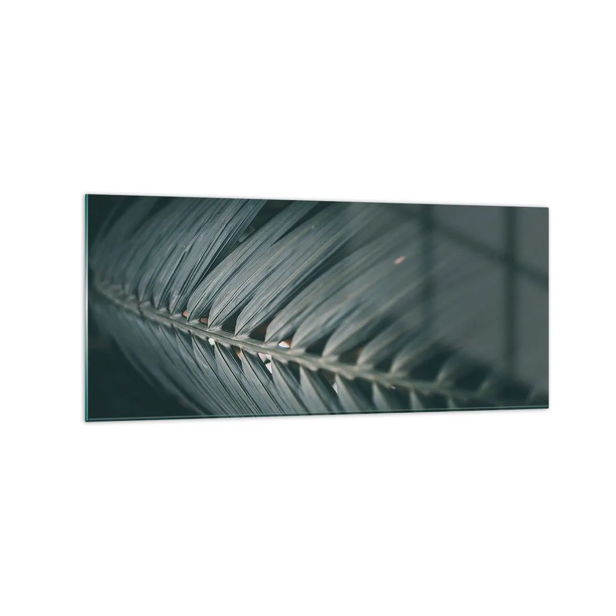 Tablou pe sticlă - Precizia naturii - 120x50 cm