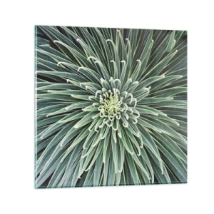 Tablou pe sticlă - Nașterea unei stele - 50x50 cm