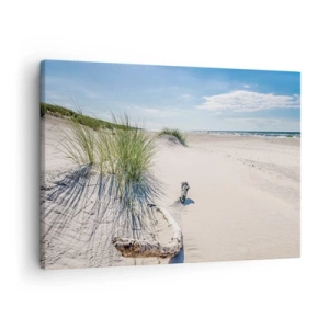 Tablou pe pânză Canvas - O plajă baltică cu nisip, iarbă și un cer albastru calm - 70x50cm - Cea mai frumoasă? Baltică - Decorațiune modernă pentru perete pentru living și dormitor ARTTOR