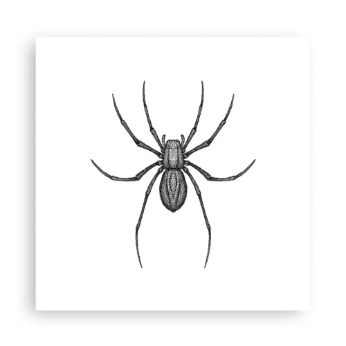 Poster - Precizie tulburătoare - 30x30 cm