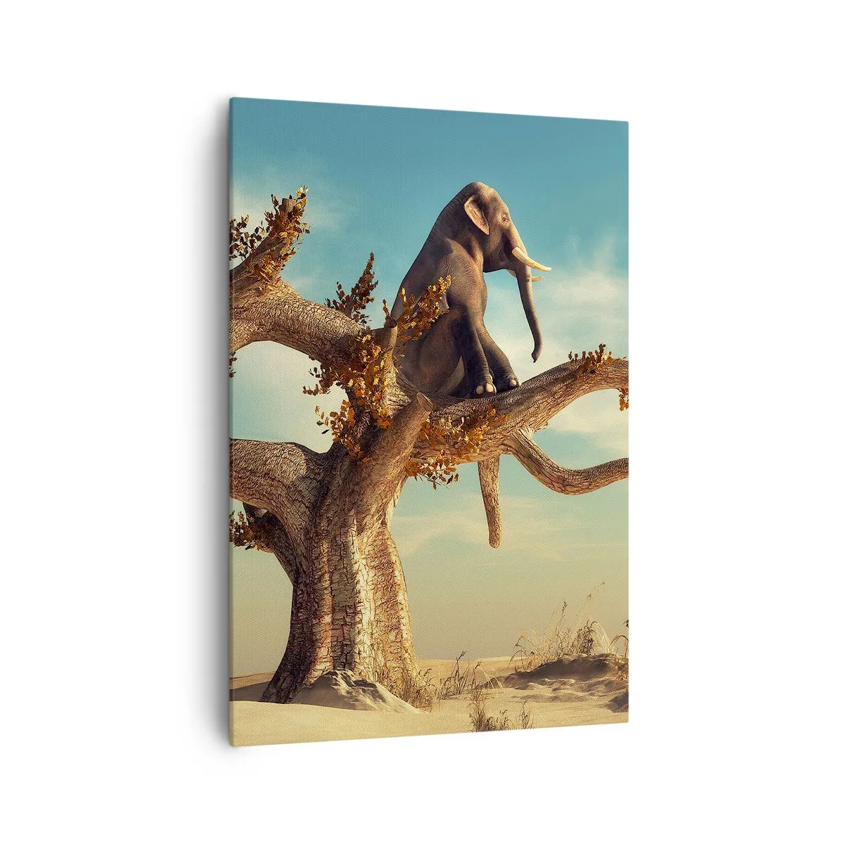 Tablou pe pânză - Un nou punct de vedere - 70x100 cm