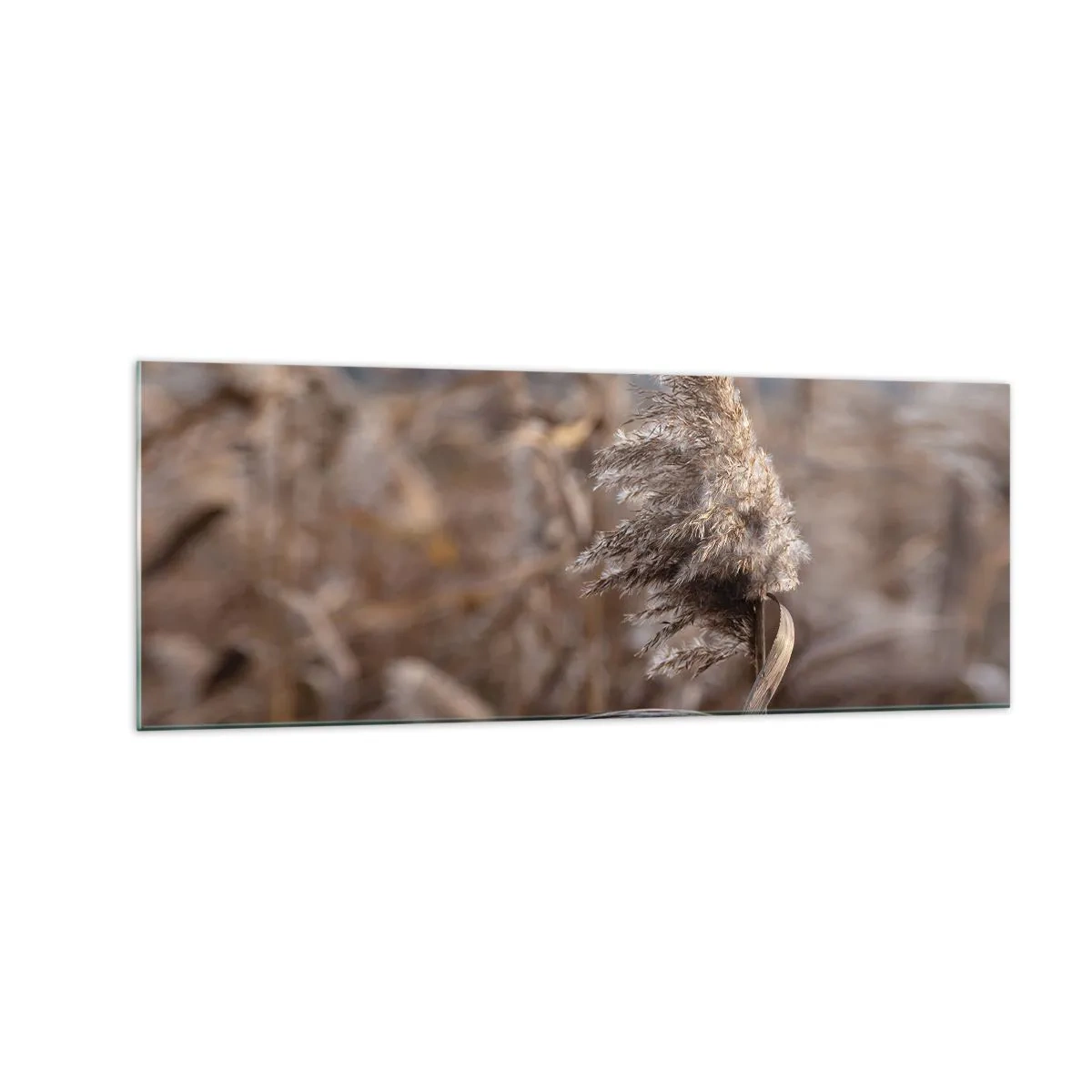 Tablou pe sticlă - E timpul să zbori cu vântul - 140x50 cm