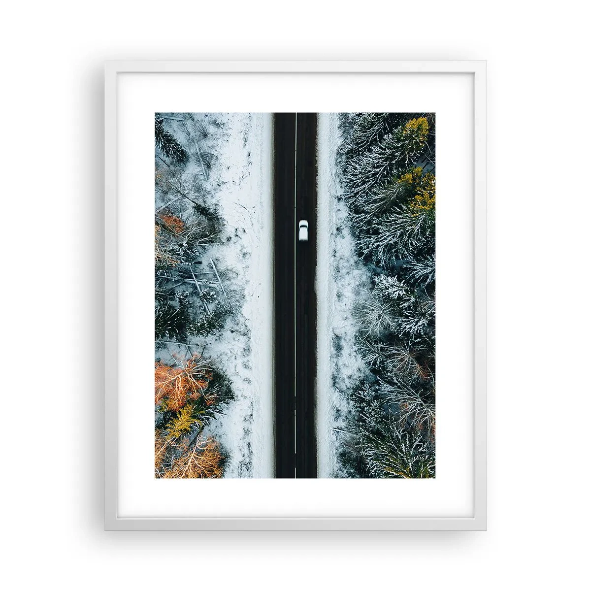 Poster în ramă albă - Prin pădurea de iarnă - 40x50 cm