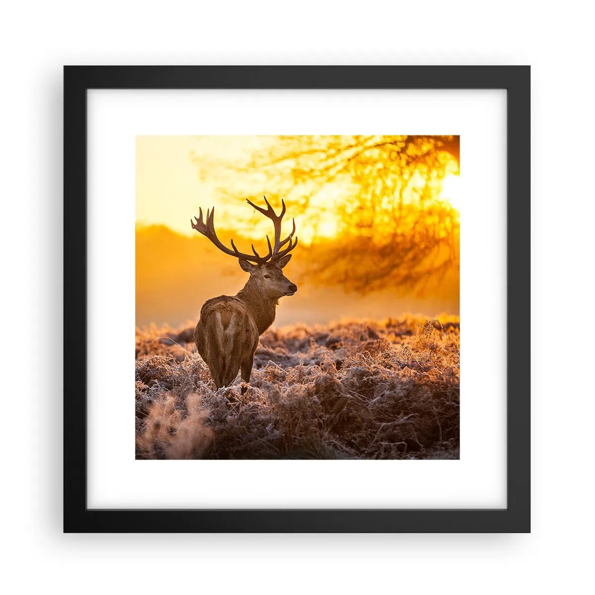 Poster în ramă neagră - Regele pădurii de toamnă - 30x30 cm