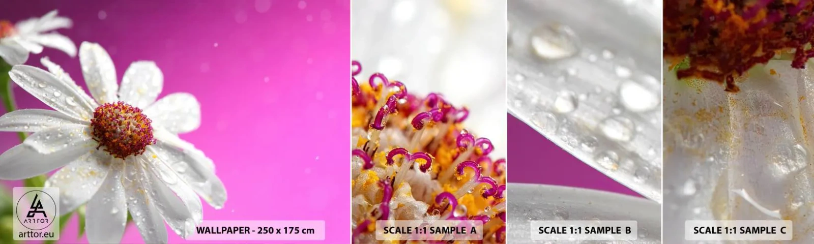 Mostră de Tapet Standard Eco - Modestă în frumusețea ei - Floare, Natură, Grădină - 100x30 cm