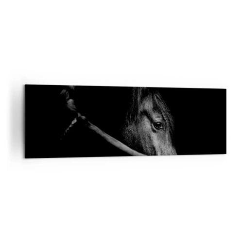 Tablou pe pânză - Prințul negru - 160x50 cm