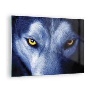 Tablou pe sticlă - Privirea fascinantă a unui lup - 70x50cm - O privire hipnotizantă - Decorațiune modernă pentru perete pentru living și dormitor ARTTOR