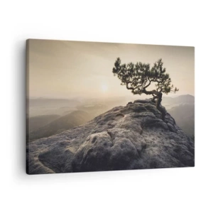 Tablou pe pânză Canvas - Un copac singuratic pe un vârf stâncos în lumina soarelui - 70x50cm - Viața învinge întotdeauna - Decorațiune modernă pentru perete pentru living și dormitor ARTTOR