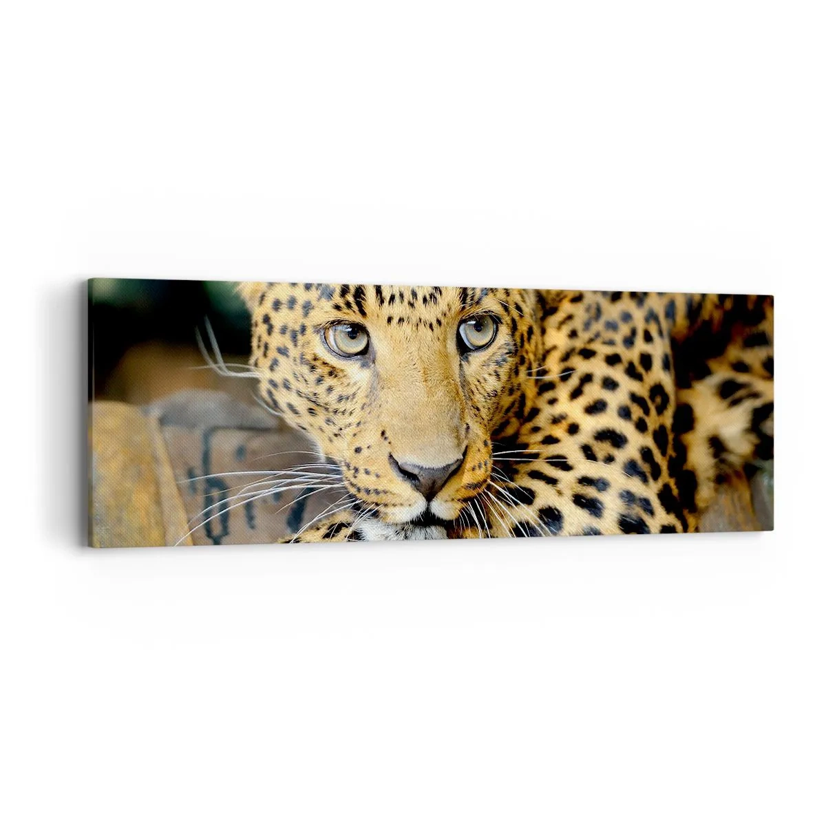 Tablou pe pânză - Nu-ți fie teamă, apropie-te - 90x30 cm