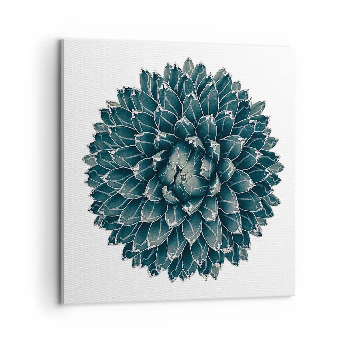 Tablou pe pânză - Steaua deșertului - 60x60 cm