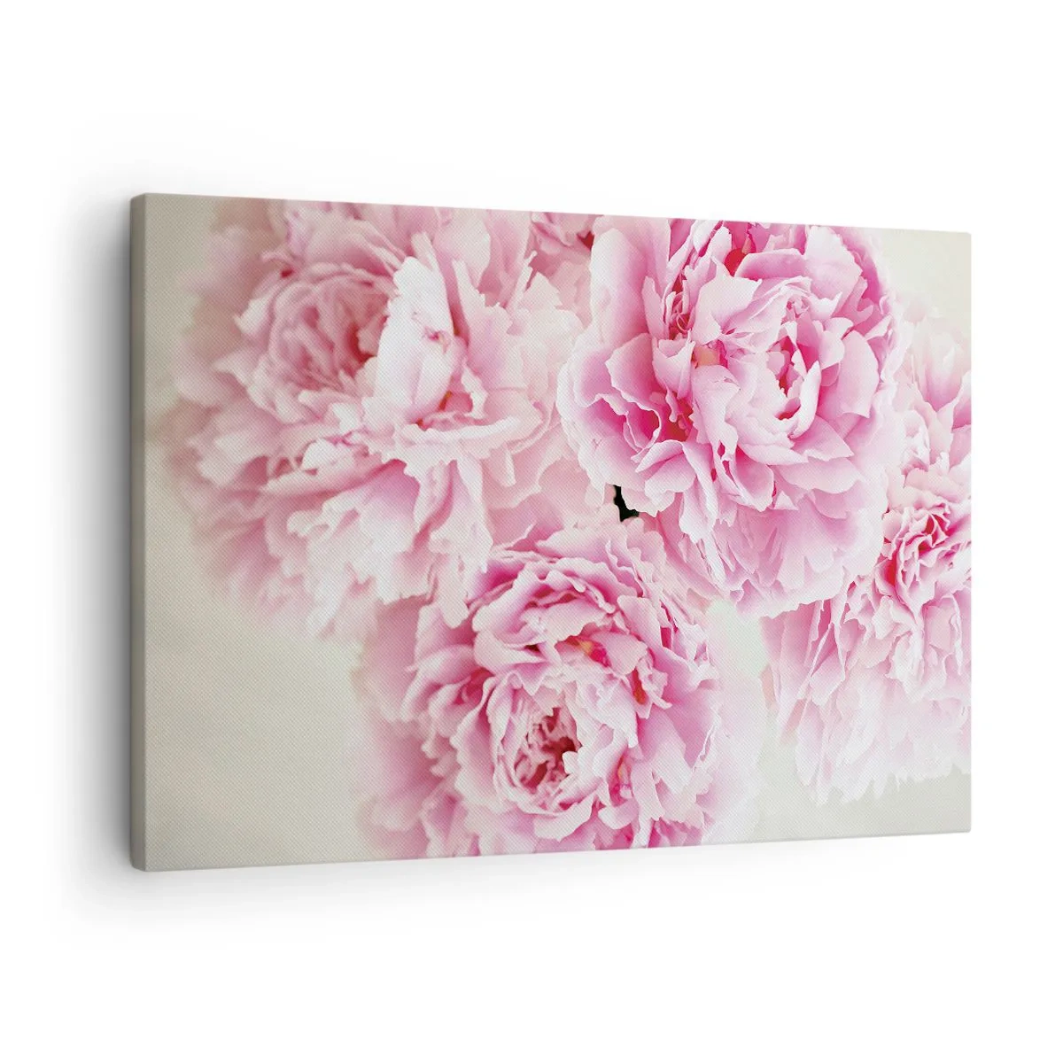 Tablou pe pânză Canvas - Un buchet de bujori roz pe un fundal deschis - 70x50cm - În luxul roz - Decorațiune modernă pentru perete pentru living și dormitor ARTTOR
