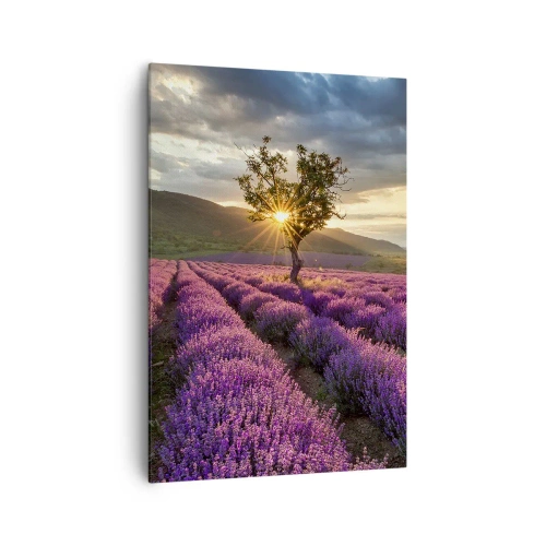 Tablou pe pânză - Aroma în liliac - 70x100 cm