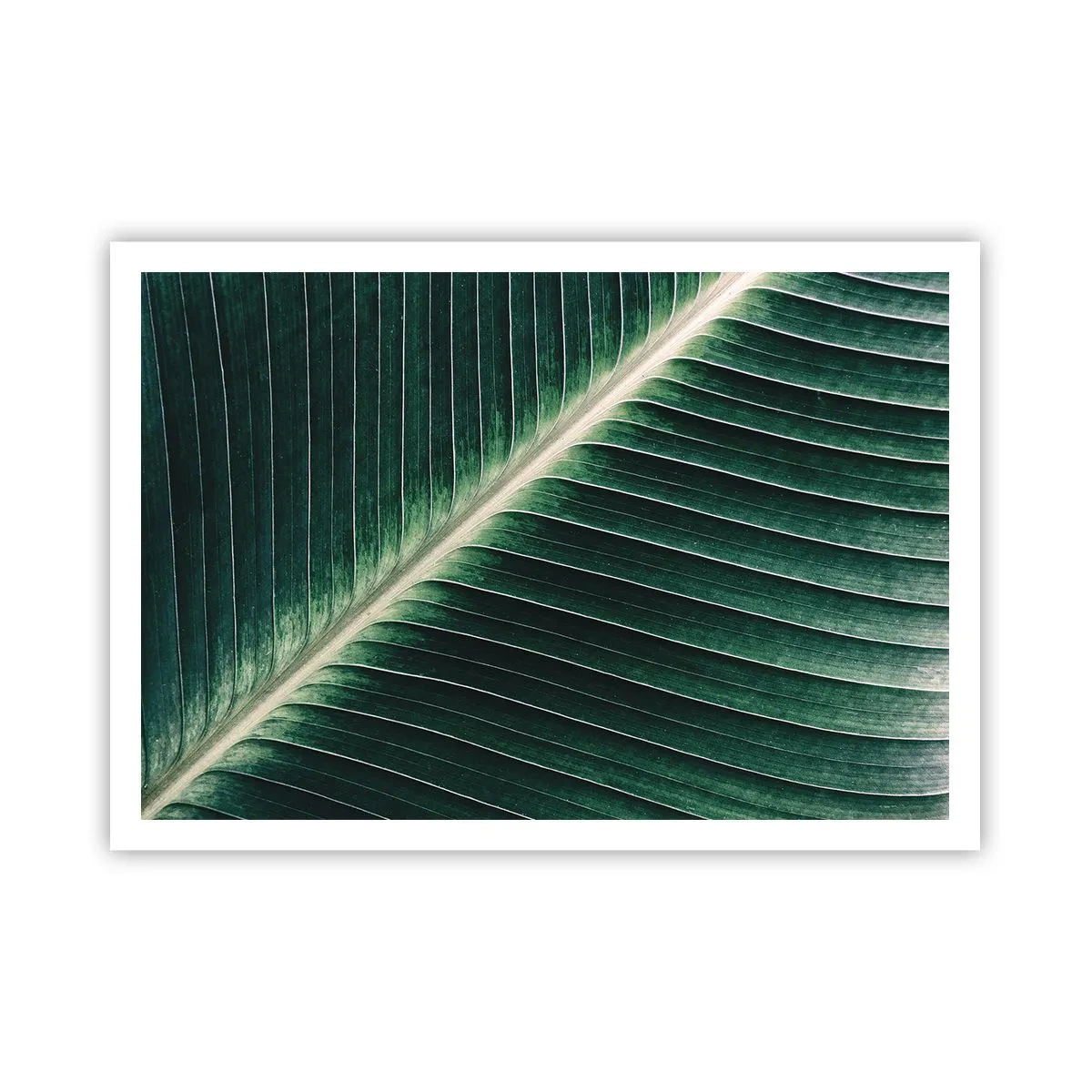 Poster - Ritmul naturii - 100x70 cm