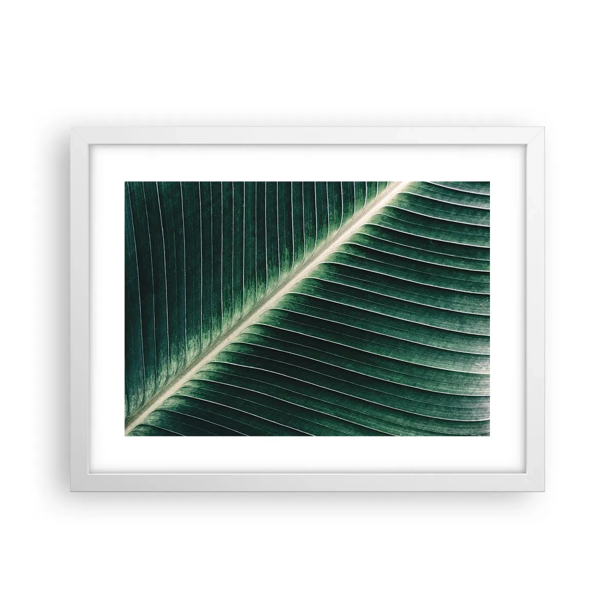 Poster în ramă albă - Ritmul naturii - 40x30 cm