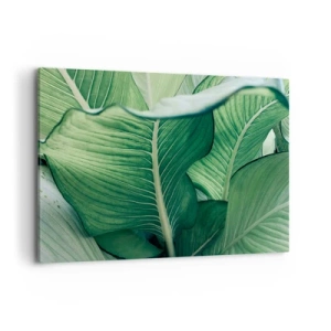 Tablou pe pânză - Viață intensă în verde - 100x70 cm