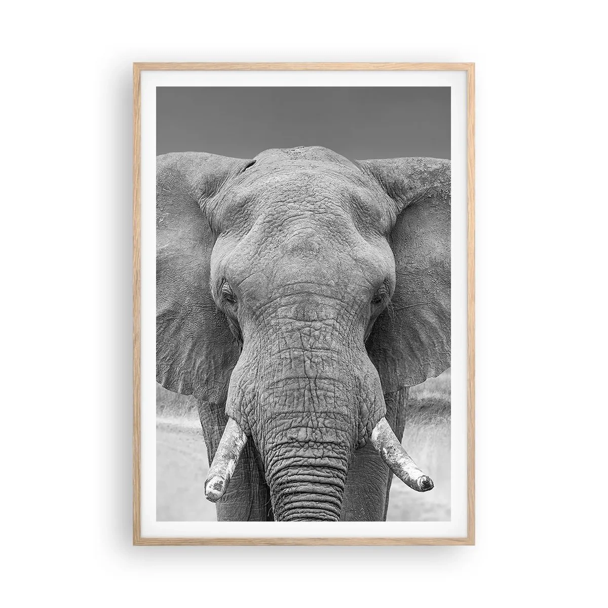 Poster în ramă de stejar deschis - Bun venit în lumea mea - 70x100 cm