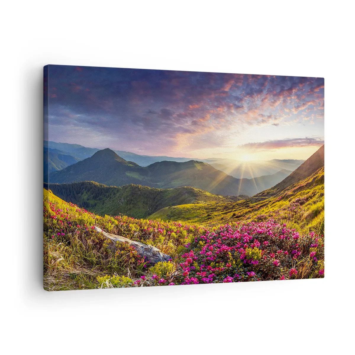 Tablou pe pânză Canvas - Peisaj montan cu rododendroni înfloriți - 70x50cm - Prospețimea unei dimineți de munte - Decorațiune modernă pentru perete pentru living și dormitor ARTTOR