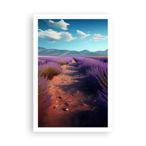 Poster - Câmpuri parfumate - 61x91 cm