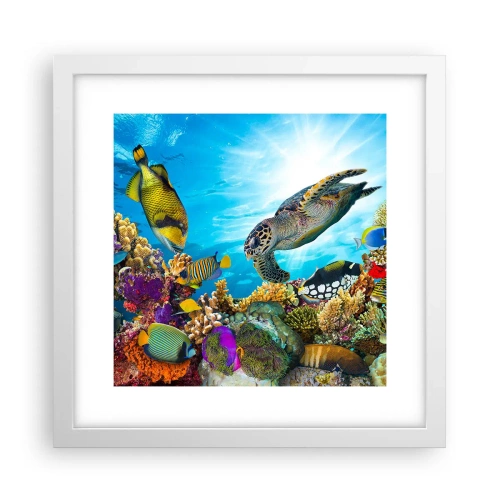 Poster în ramă albă - Promenada de corali - 30x30 cm
