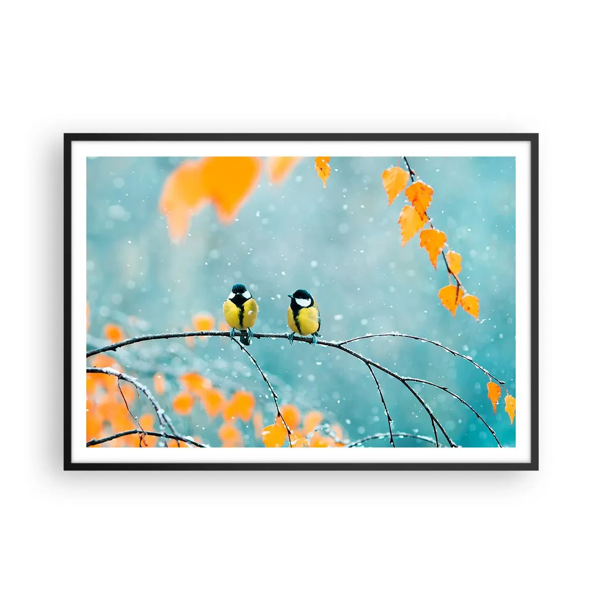Poster în ramă neagră - Bârfele păsărilor - 100x70 cm