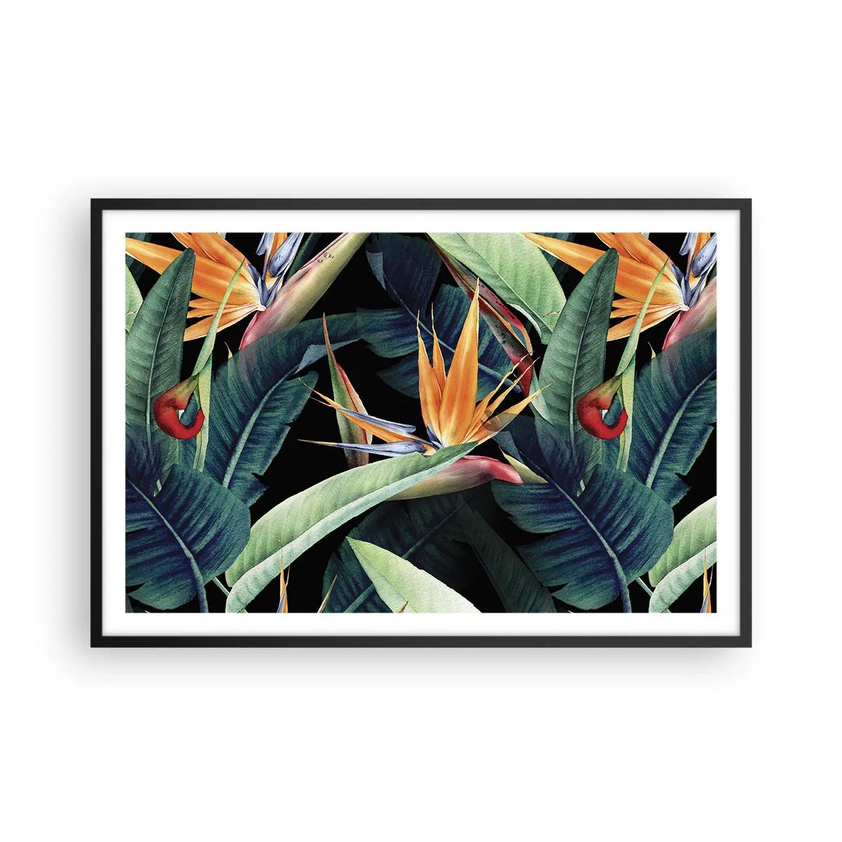 Poster în ramă neagră - Florile de flacără ale tropicelor - 91x61 cm