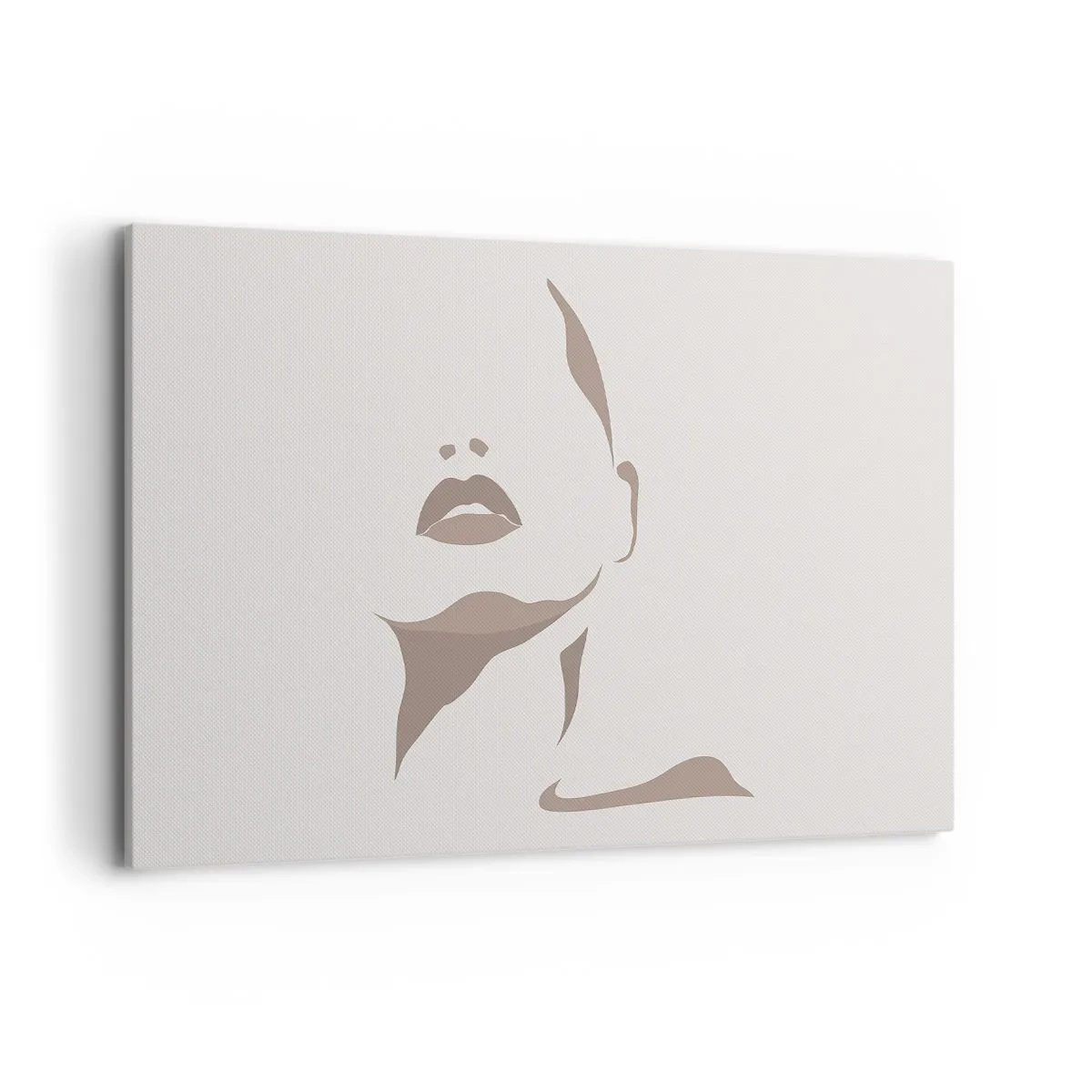 Tablou pe pânză - Creată din lumină și umbră - 120x80 cm