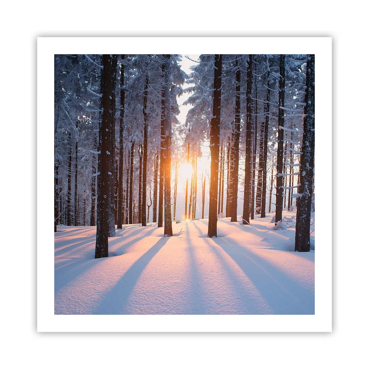 Poster - În mod clar în alb și negru - 60x60 cm