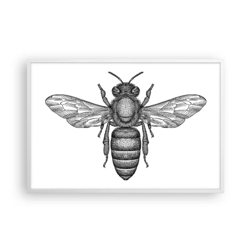 Poster în ramă albă - Portret de insectă - 91x61 cm