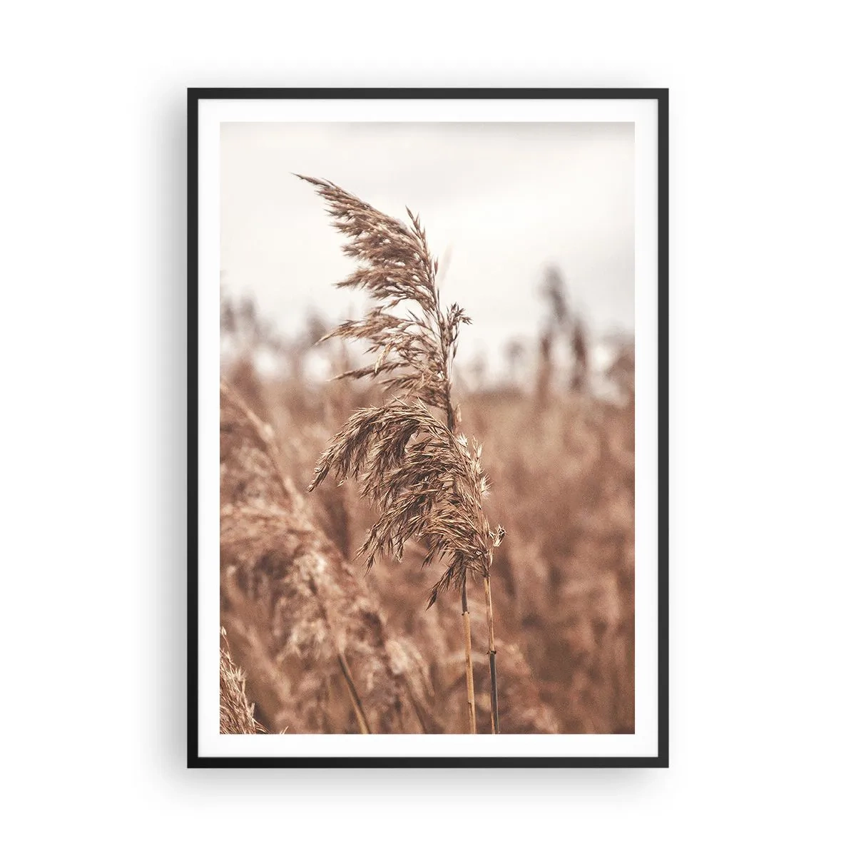 Poster în ramă neagră - Toamna pe câmpuri - 70x100 cm