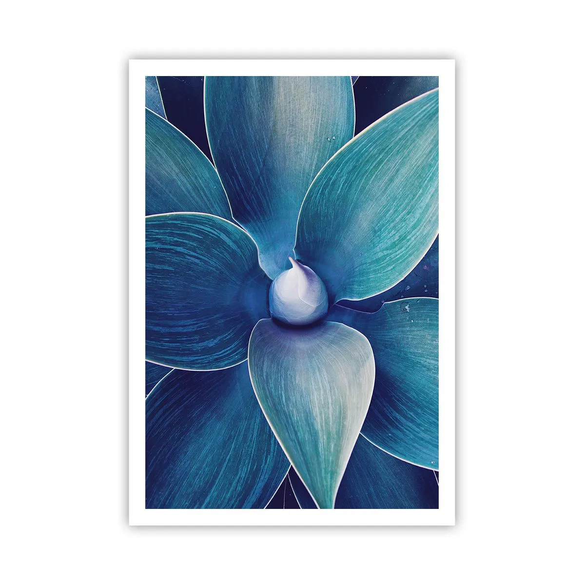 Poster - A furat albastrul de la cer - 70x100 cm