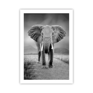 Poster - Gazda te salută - 50x70 cm