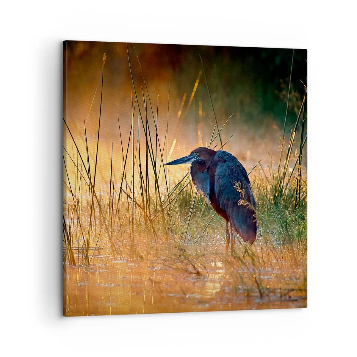 Tablou pe pânză - Lasă-mă în pace cu aceste fotografii - 50x50 cm