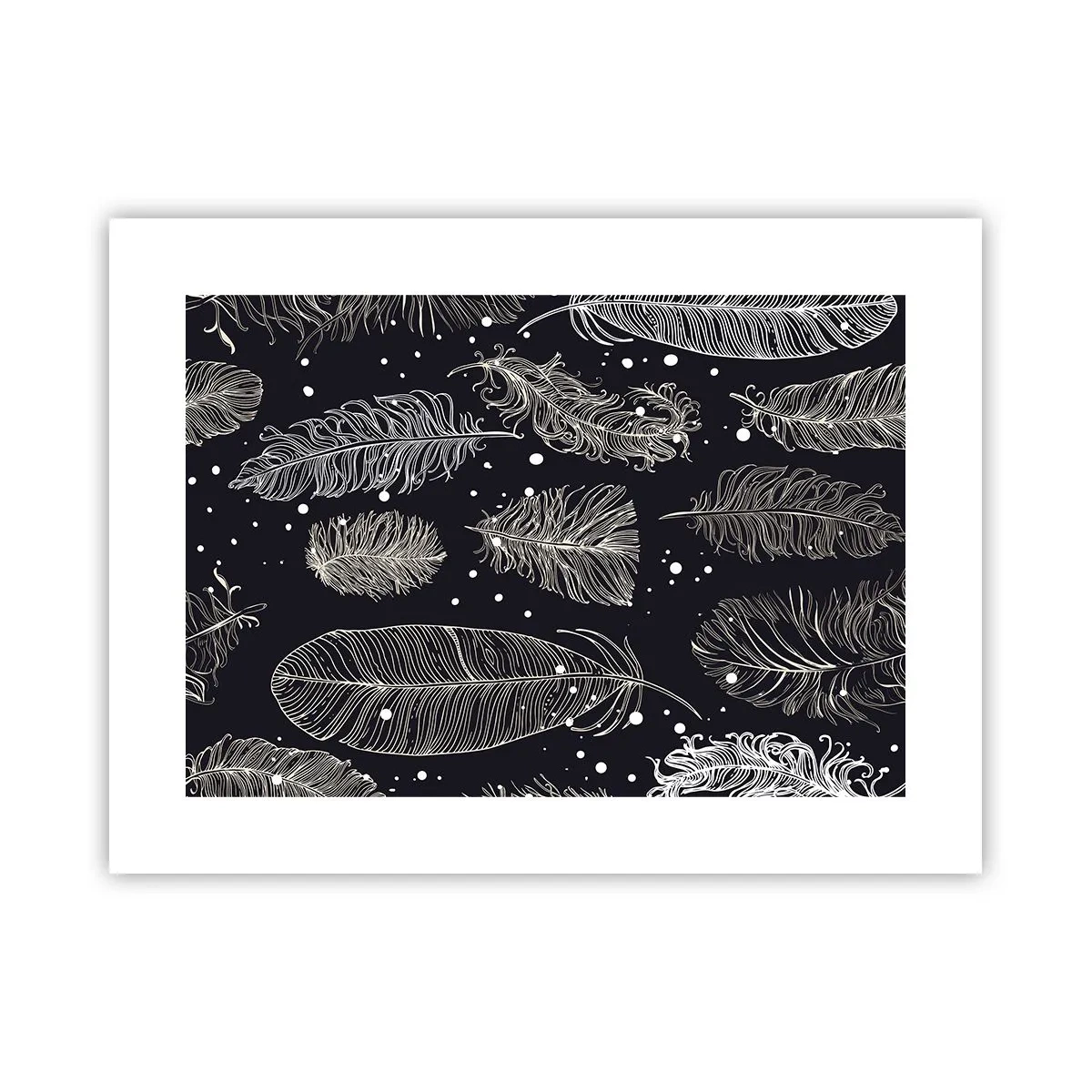 Poster - Dantelă cu pene - 40x30 cm