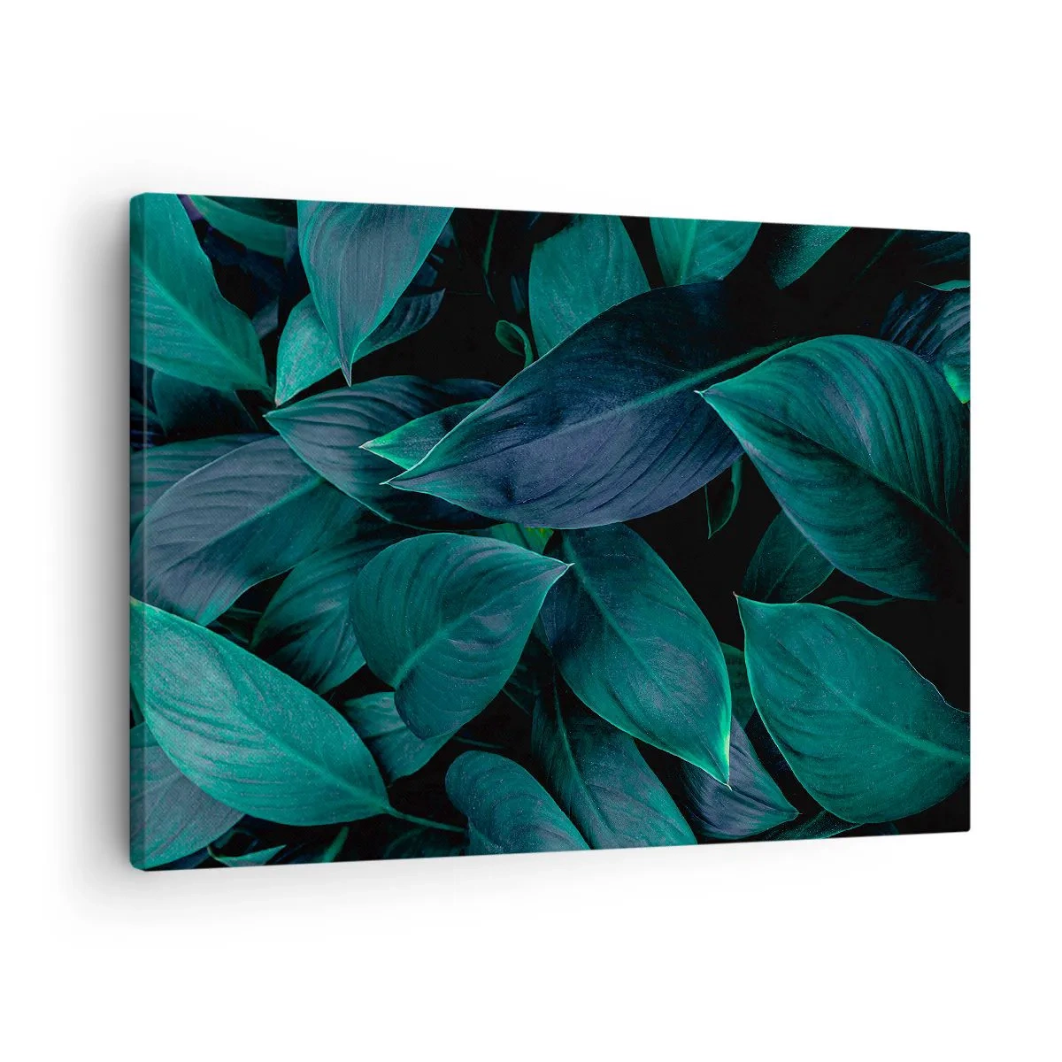Tablou pe pânză Canvas - Prim-plan cu frunze verzi pe fundal întunecat - 70x50cm - Verdeața în sine - Decorațiune modernă pentru perete pentru living și dormitor ARTTOR